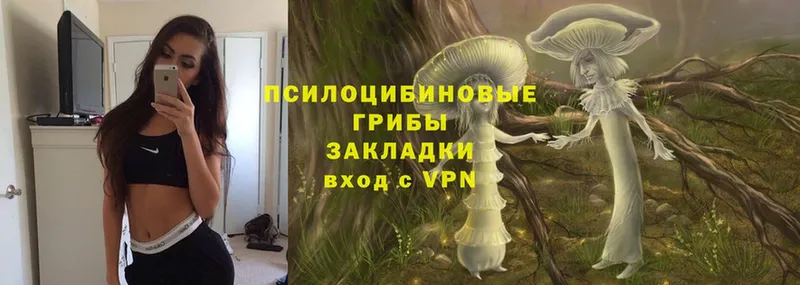 Галлюциногенные грибы MAGIC MUSHROOMS  shop клад  Кузнецк 